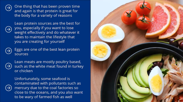 The Foolproof Diet - Image 11